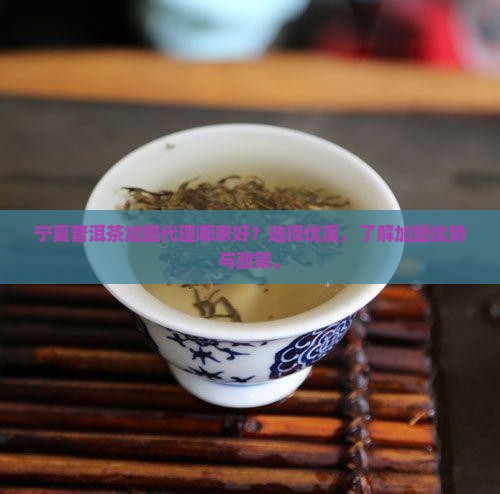 宁夏普洱茶加盟代理哪家好