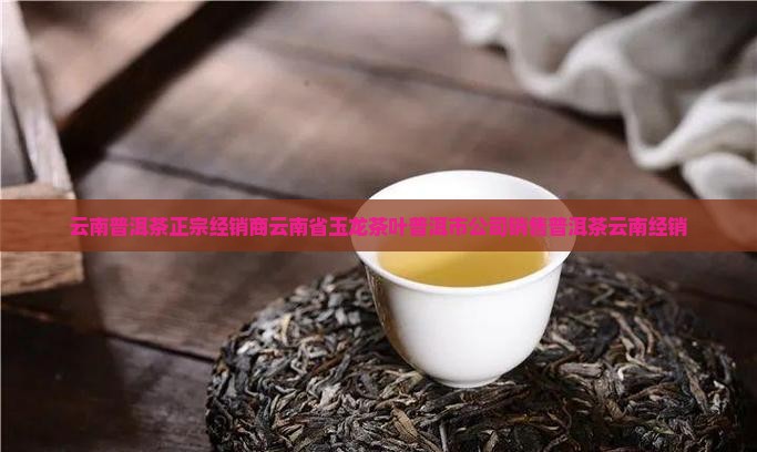 云南普洱茶正宗经销商