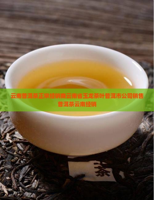 云南普洱茶正宗经销商