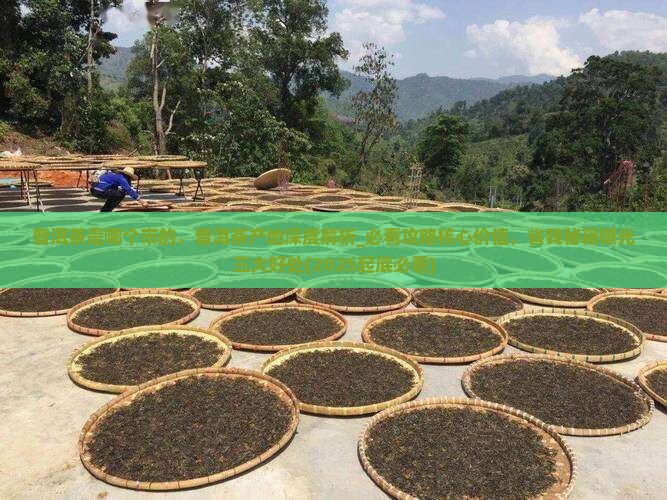 普洱茶是哪个市的