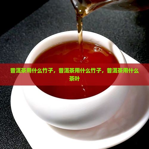 普洱茶用什么竹子