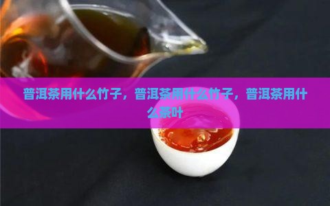 普洱茶用什么竹子