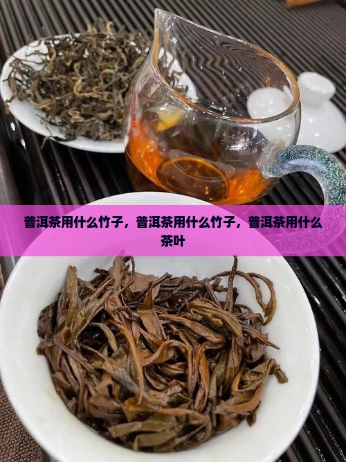 普洱茶用什么竹子