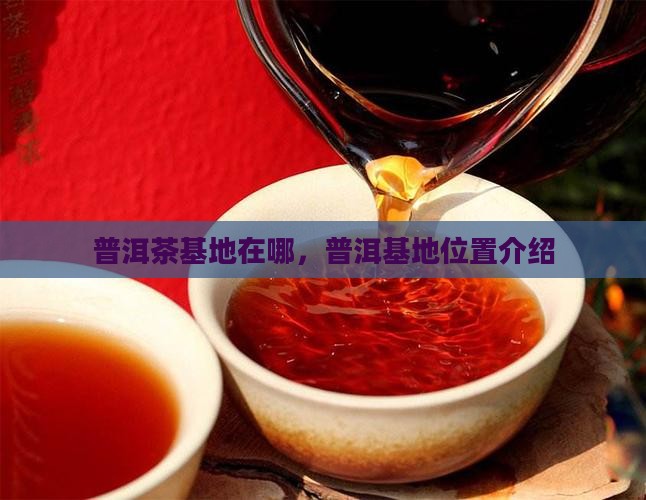潞库普洱茶基地在哪里