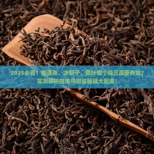 普洱茶和决明子桑叶哪个好