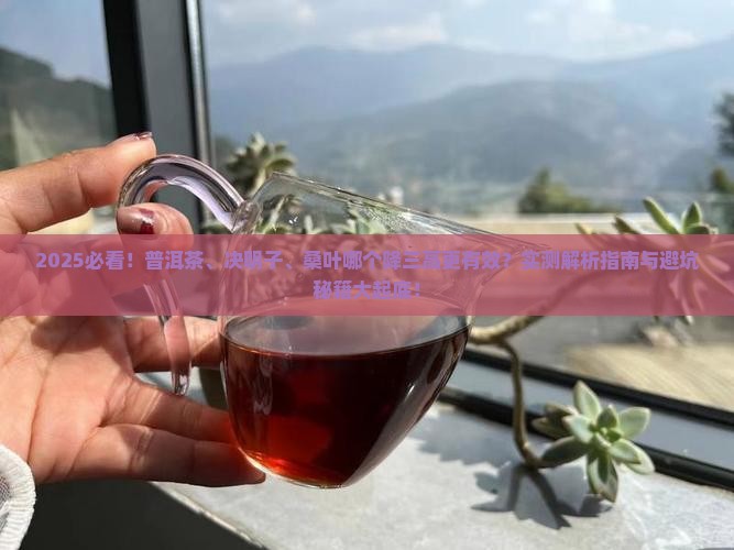 普洱茶和决明子桑叶哪个好