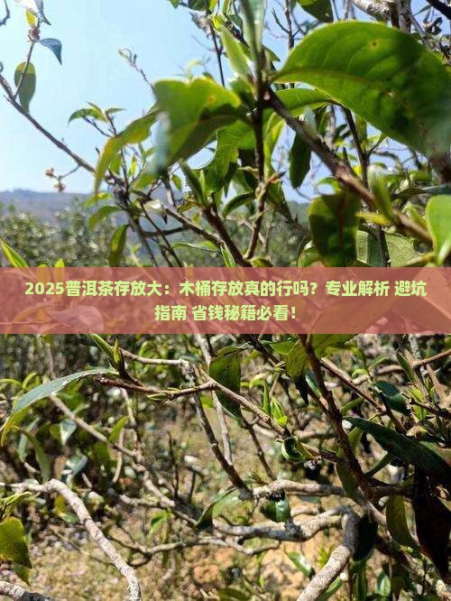 普洱茶放木桶中存放行吗