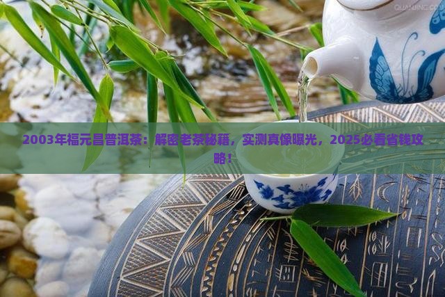 福元昌普洱茶2003年