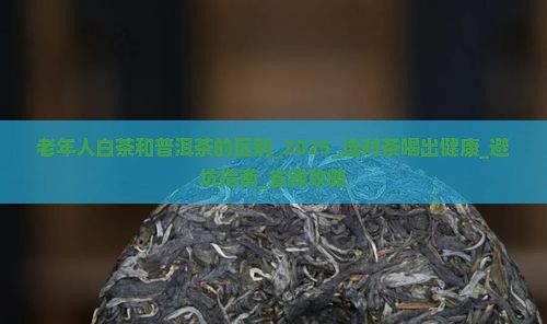 老年人白茶和普洱茶的区别