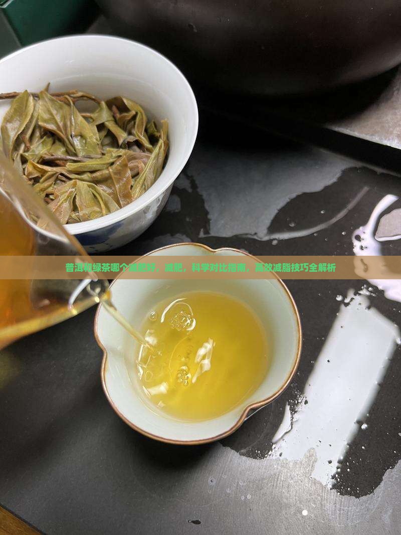 普洱和绿茶哪个减肥好