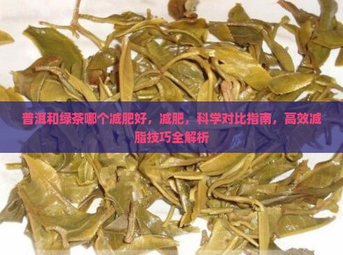 普洱和绿茶哪个减肥好