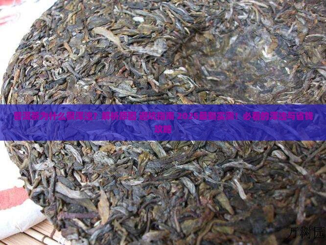 普洱茶为什么很浑浊