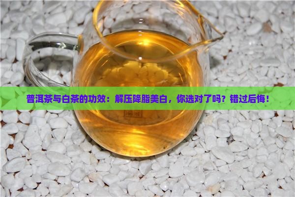 普洱茶与白茶的功效