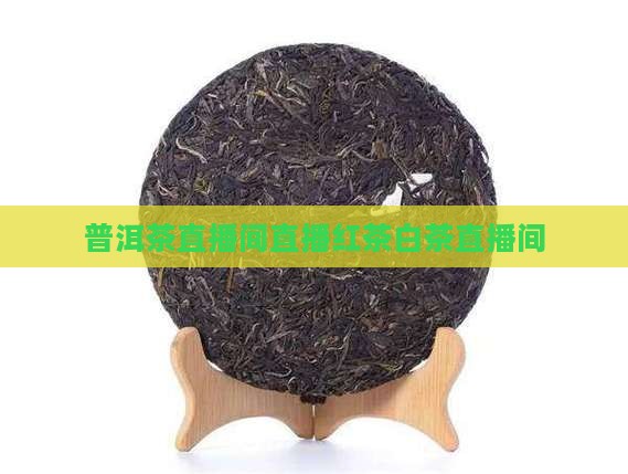 普洱茶直播间红茶白茶直播间