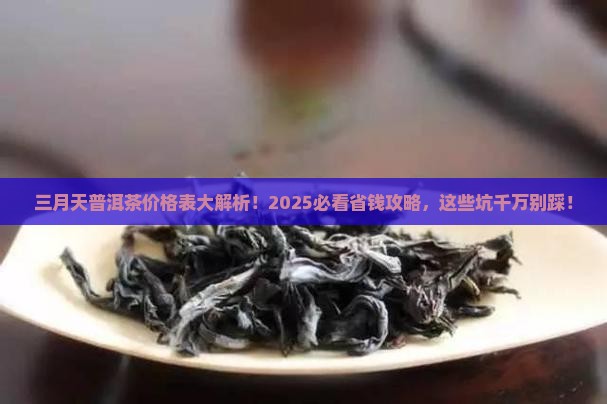 三月天普洱茶价格表
