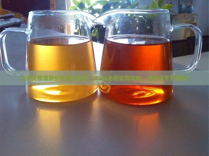 三月天普洱茶价格表