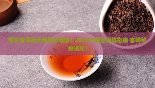 便宜的普洱茶购买藏价值排行榜