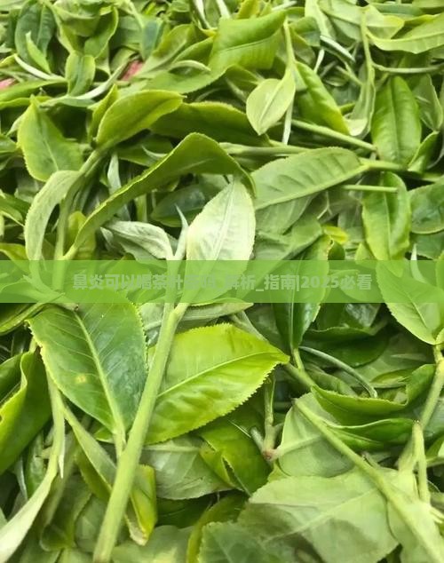 鼻炎可以喝茶叶茶吗