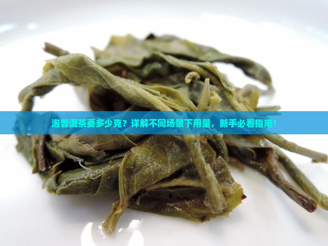 泡普洱茶要多少克 泡普洱茶要多少克