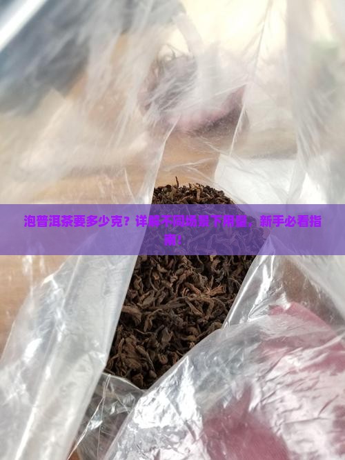 泡普洱茶要多少克 泡普洱茶要多少克