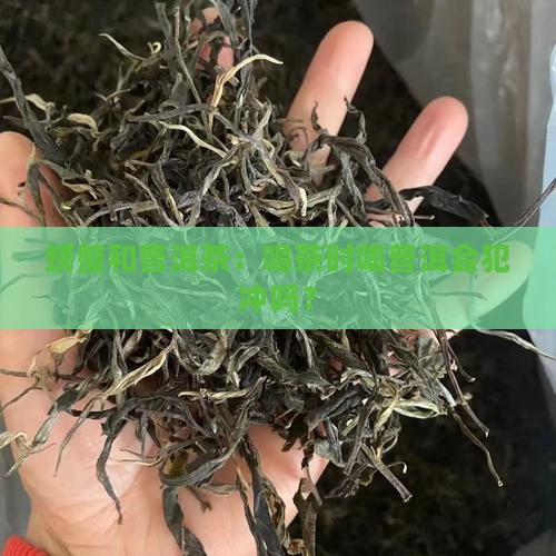 普洱茶和蟹犯冲吗
