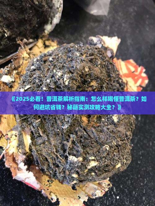 怎么样喝懂普洱茶