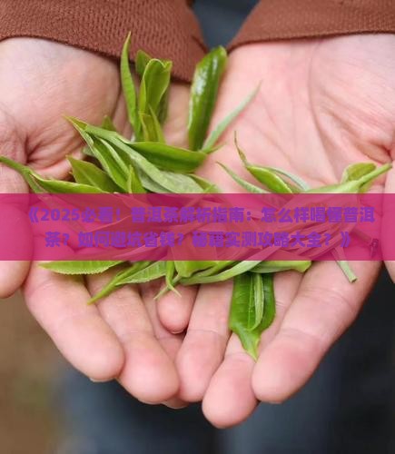 怎么样喝懂普洱茶