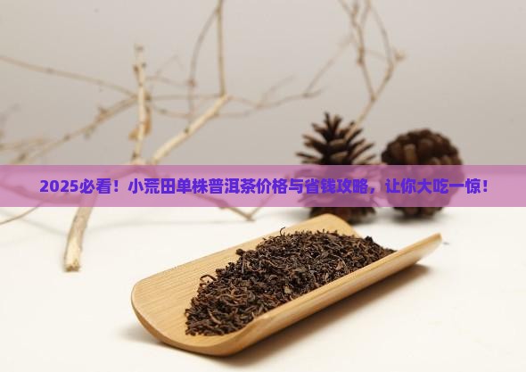 小荒田单株普洱茶价格多少
