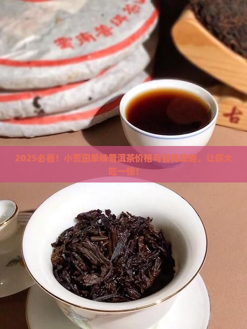 小荒田单株普洱茶价格多少