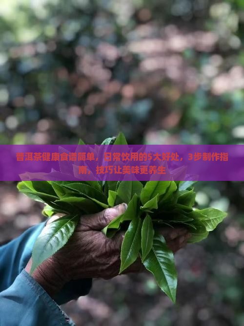 普洱茶健康食谱简单