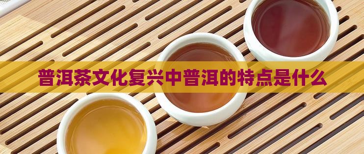 普洱茶文艺复兴的特点是什么