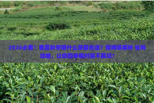 春夏秋冬喝什么茶有讲究吗