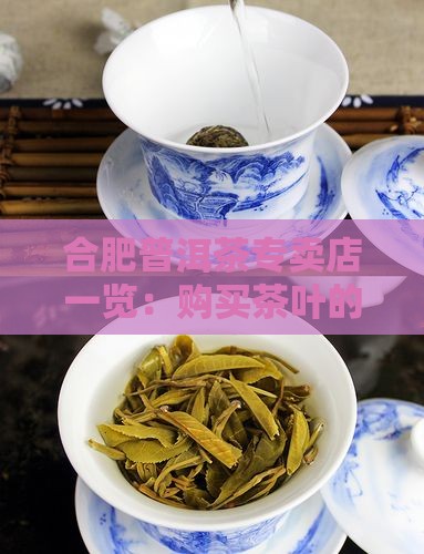 合肥购买购普洱茶地方在那 合肥购买购普洱茶地方在那