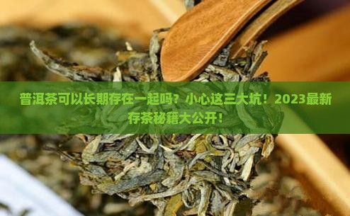 普洱茶可以长期存在一起吗