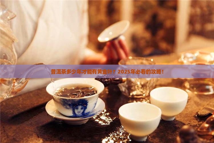 普洱茶多少年树龄才有黄金叶