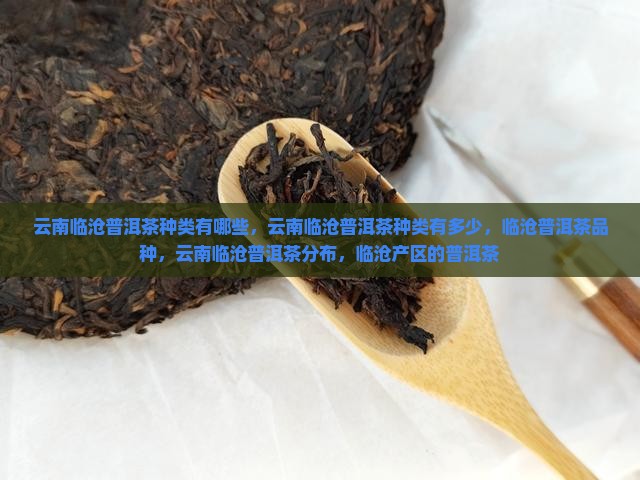 云南临沧普洱茶种类