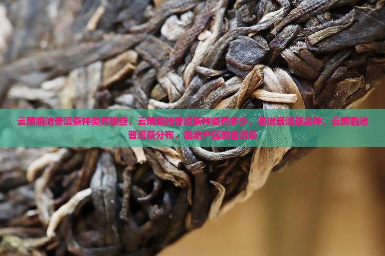 云南临沧普洱茶种类