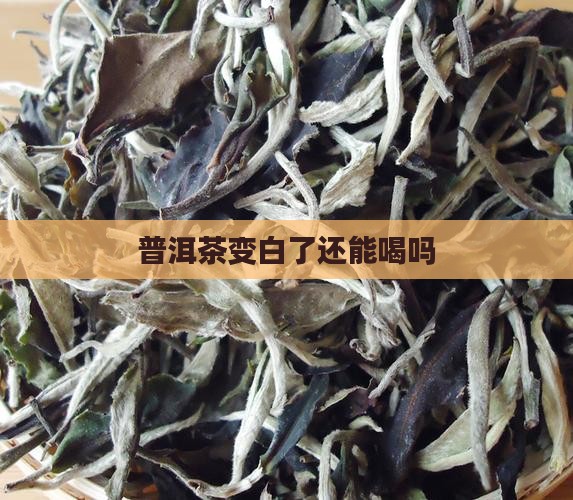 普洱茶变白了可以吃吗