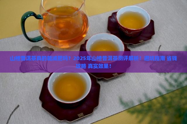 山楂普洱茶测评分析