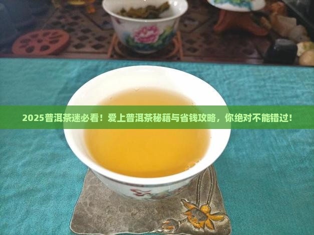爱上普洱茶论坛