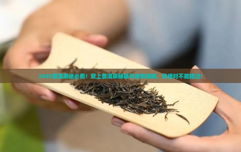 爱上普洱茶论坛