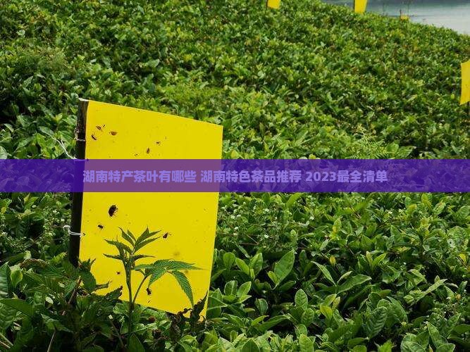 湖南特产茶叶有哪些