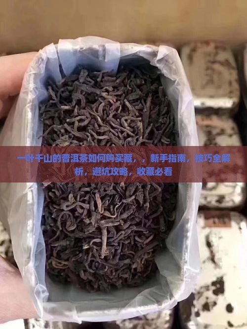 一叶千山的普洱茶如何购买藏