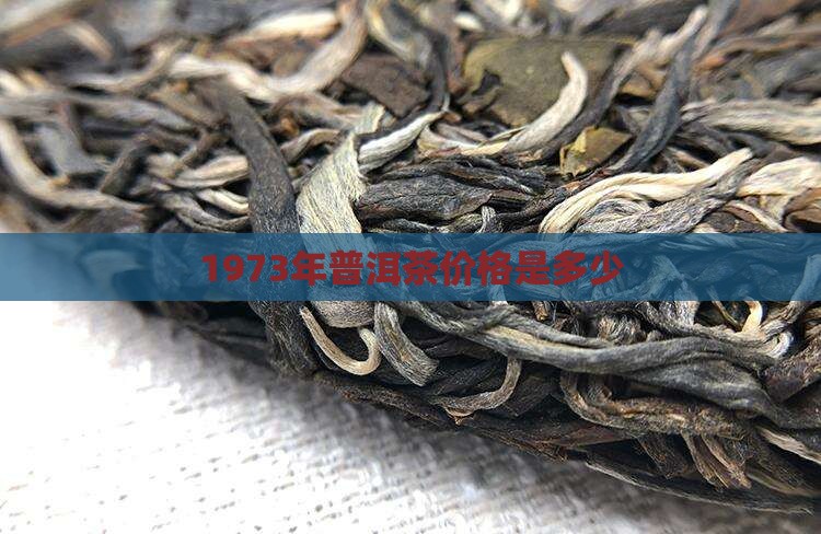 1973年普洱茶多少钱