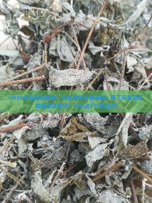 喝了乌龙茶能喝普洱茶吗