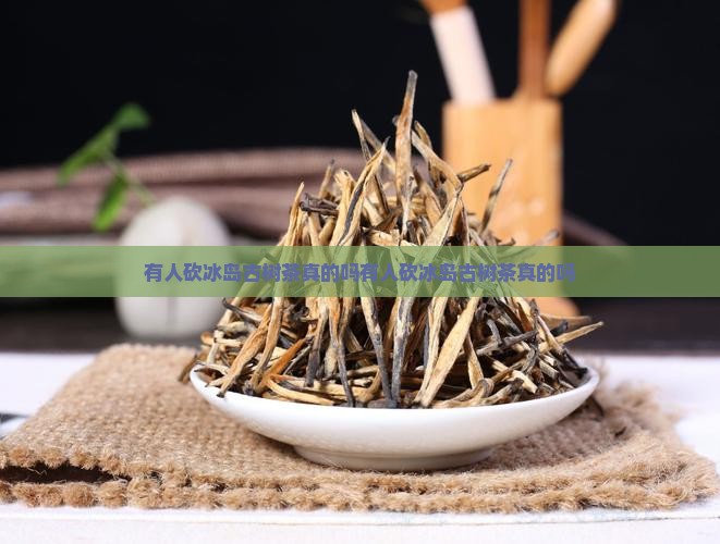 有人砍冰岛古树茶真的吗