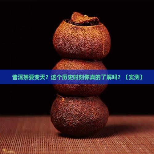 见证普洱茶的一个历史时刻