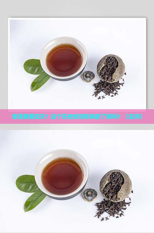 见证普洱茶的一个历史时刻