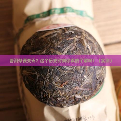 见证普洱茶的一个历史时刻