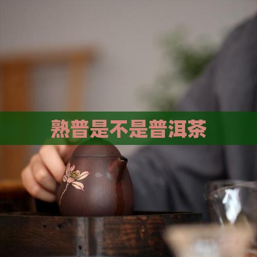 熟普是不是普洱茶 熟普是不是普洱茶